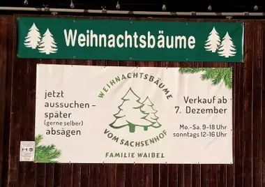 Alle Jahre wieder: Weihnachtsbäume Weihnachtsbäume vom Sachsenhof in Schwäbisch Gmünd